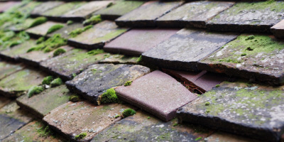 Newport roof repair costs